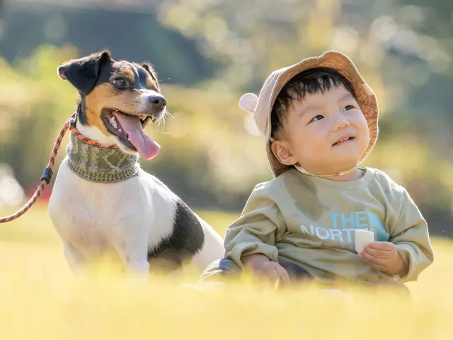 ペットモデルオーディションを担当するフォトグラファーのペット出張撮影サービス