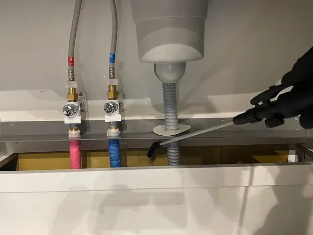 即日対応OK！完全駆除！ゴキプロサービスサービスの画像