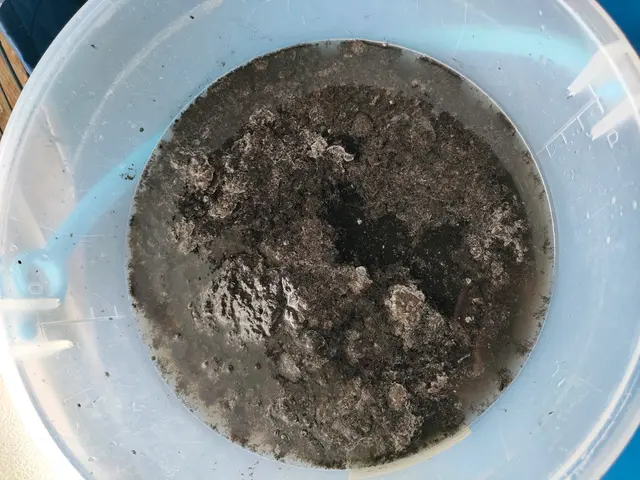 【11月出店】経験15年・1800台以上の実績を持つ店長が必ずお伺いしますサービスの画像