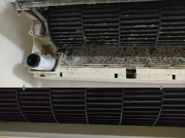 【11月出店】経験15年・1800台以上の実績を持つ店長が必ずお伺いしますサービスの画像