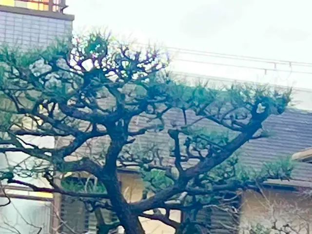 全作業自社施工、心地よい緑の空間を創ります！サービスの画像