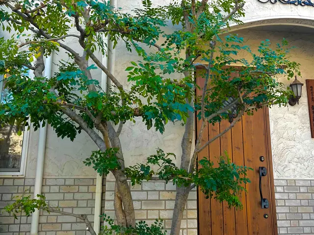 全作業自社施工、心地よい緑の空間を創ります！サービスの画像