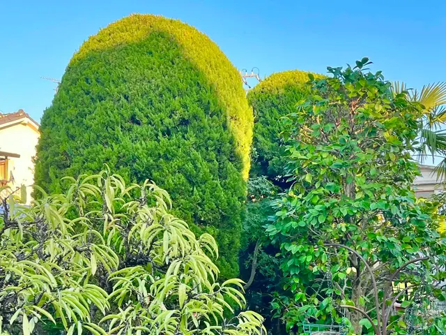 全作業自社施工、心地よい緑の空間を創ります！サービスの画像