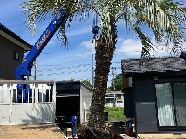 迅速・丁寧・安全な作業で、あなたの庭を美しく変えます。サービスの画像