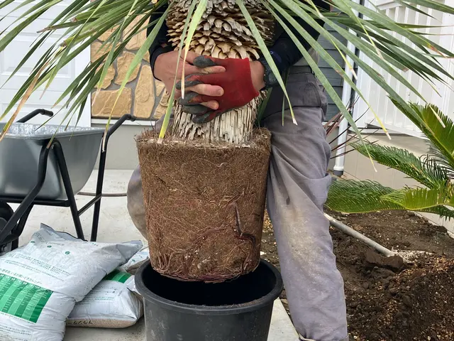 迅速・丁寧・安全な作業で、あなたの庭を美しく変えます。サービスの画像