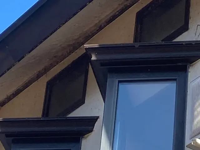 窓ガラスはもちろんサッシ枠までキレイにしますサービスの画像