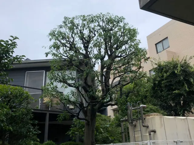 《業界歴10年の経験実績》営業時間外・対応地域外でもご要望お聞きします♪サービスの画像