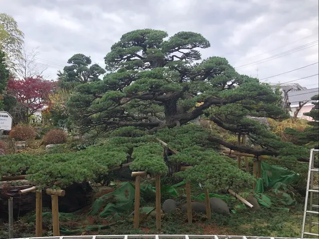 《業界歴10年の経験実績》営業時間外・対応地域外でもご要望お聞きします♪サービスの画像