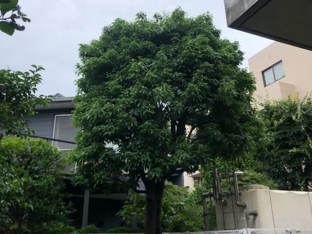 《業界歴10年の経験実績》営業時間外・対応地域外でもご要望お聞きします♪サービスの画像