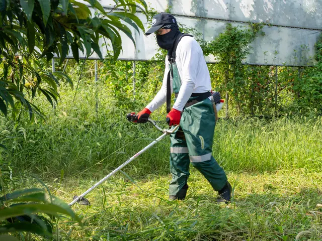 お客様のお力になります！経験と知識を活かして迅速丁寧に作業いたしますサービスの画像