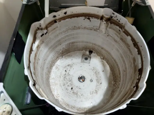 カビ臭くてイライラ(# ﾟДﾟ)洗濯のストレスをクリーニングで一掃！サービスの画像