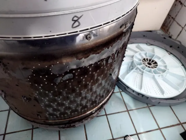 カビ臭くてイライラ(# ﾟДﾟ)洗濯のストレスをクリーニングで一掃！サービスの画像