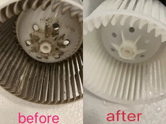 【日々使用する空間を快適に！】カビは徹底駆除！！！サービスの画像