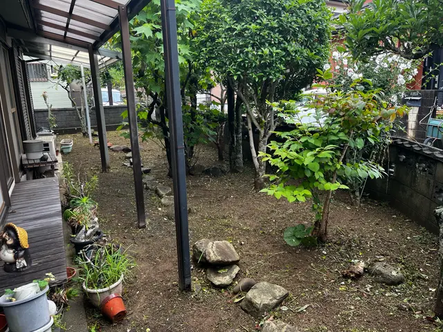 剪定歴10年以上のプロ。一般廃棄物許可店なので、切った枝葉の処分まで依頼可能サービスの画像