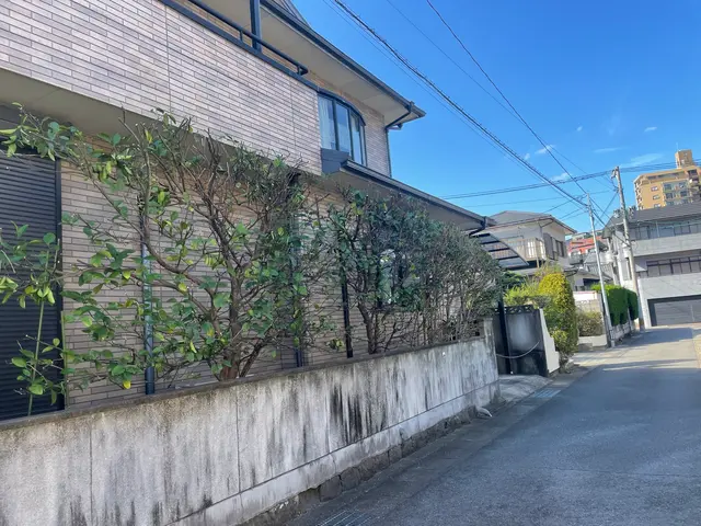 剪定歴10年以上のプロ。一般廃棄物許可店なので、切った枝葉の処分まで依頼可能サービスの画像