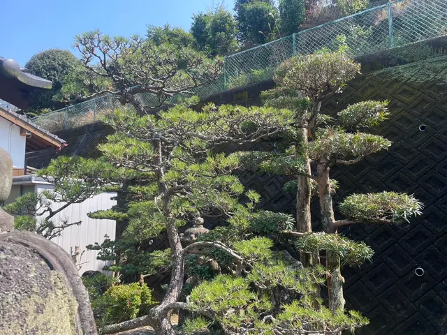 住まいるクリーンサービスの画像