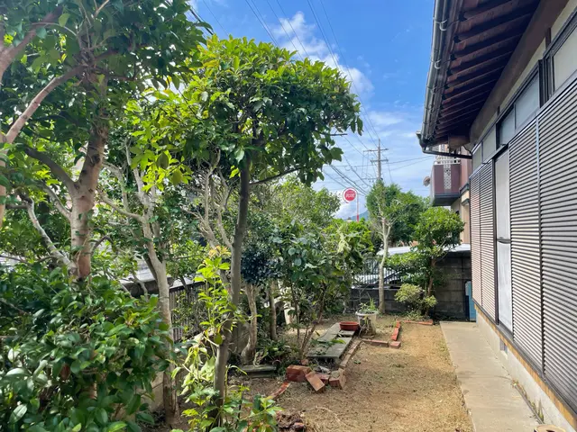 剪定歴10年以上のプロ。一般廃棄物許可店なので、切った枝葉の処分まで依頼可能サービスの画像