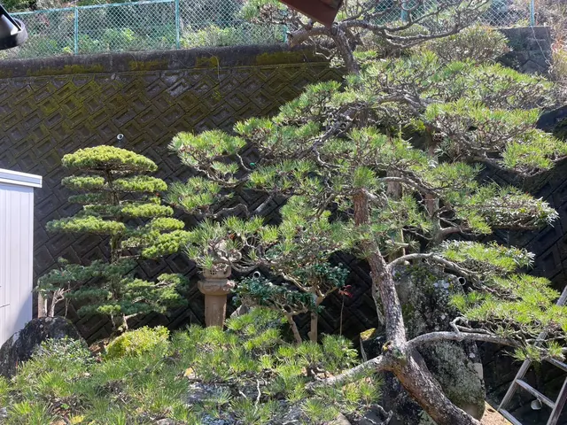 住まいるクリーンサービスの画像