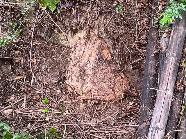 【最短当日対応】6時〜22時営業／出張費無料／早朝・夜間料金無料サービスの画像