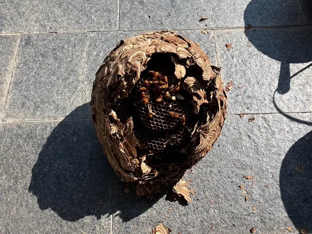 【最短当日対応】6時〜22時営業／出張費無料／早朝・夜間料金無料サービスの画像