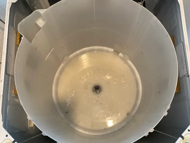 洗濯槽ピカピカ本舗(^-^)/サービスの画像