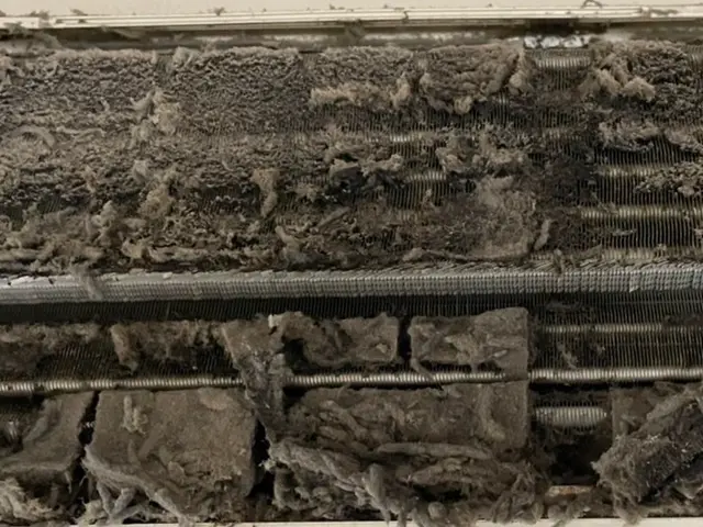 ★★出店記念サービス実施中★消臭抗菌仕上げが無料でお得です。カビや臭いを徹底洗浄サービスの画像