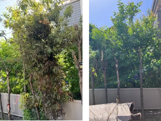 草　む　し　り　立　ち　合　い　な　し　で　作　業　可　能！サービスの画像