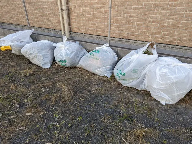 草　む　し　り　立　ち　合　い　な　し　で　作　業　可　能！サービスの画像