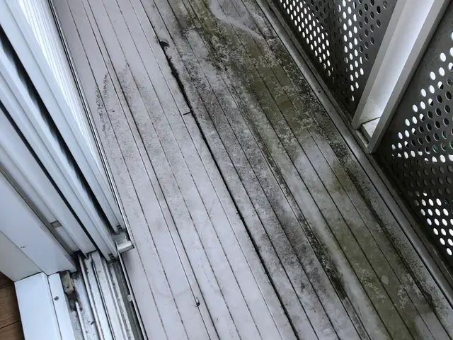 狭山市発【年中無休】土日祝もご予約大歓迎！大手業務経験あり！損害保険加入店サービスの画像