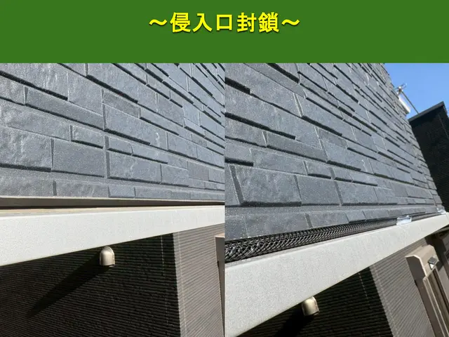 【安心の地元業者】コウモリ追い出し、再侵入予防のプロフェッショナルI【無料調査】サービスの画像