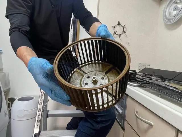 開業記念！3/31まで通常20000円がなんと12000円で！大大大感謝セール！サービスの画像