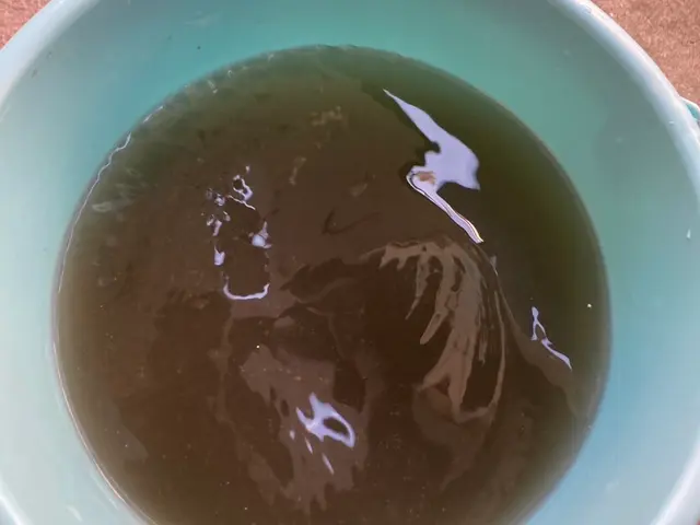 エコ洗剤で高圧洗浄！ぜひお試しください！！サービスの画像