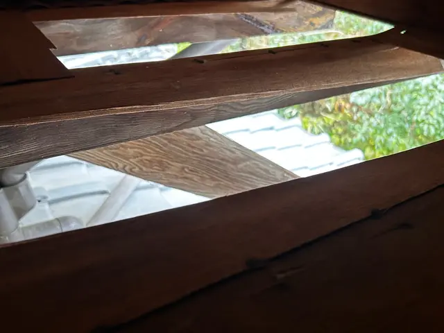 眠れない生活を解決します(^^♪《イタチ駆除清掃はお任せ下さい》サービスの画像