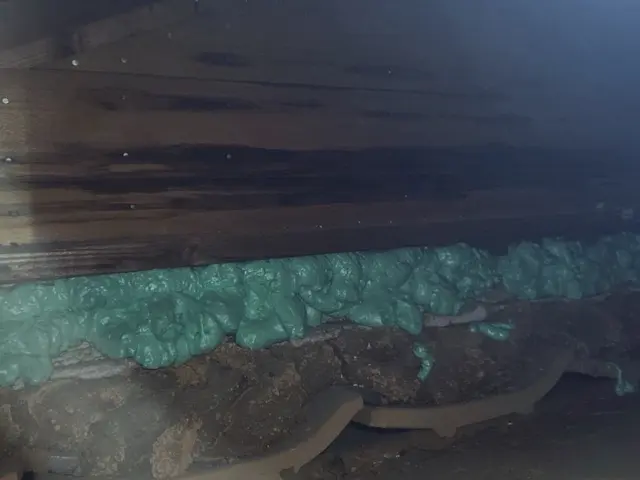 眠れない生活を解決します(^^♪《イタチ駆除清掃はお任せ下さい》サービスの画像