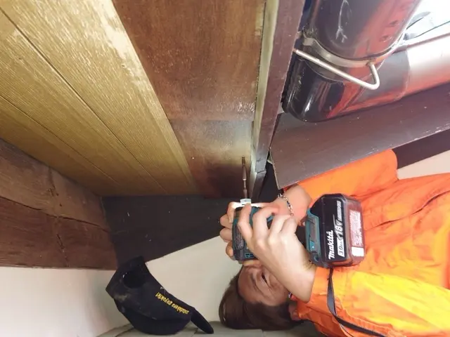 眠れない生活を解決します(^^♪《イタチ駆除清掃はお任せ下さい》サービスの画像