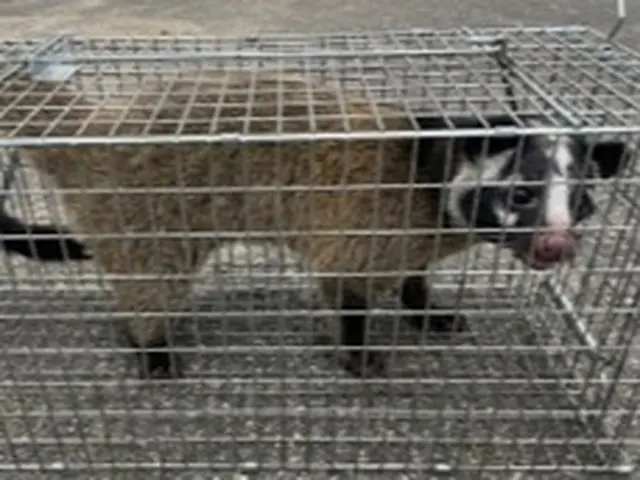 お客様のお力になります！経験と知識を活かして迅速丁寧に作業いたしますサービスの画像