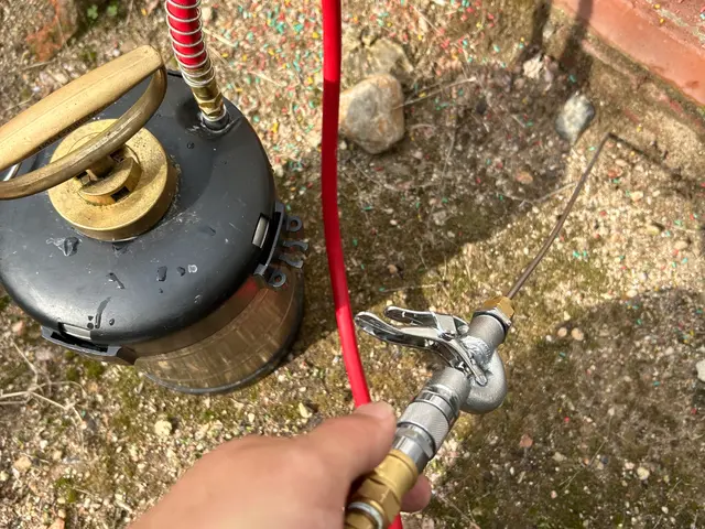 クロアリ駆除はお任せ下さい！シロアリ施工士在籍！床面積×600円！関西サービスの画像