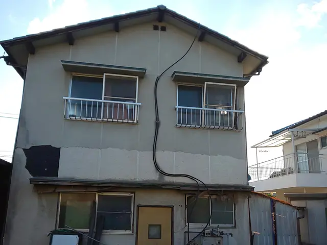 伸びて邪魔な蔦を取り除きます！諦めないで！ 知恵と技術を込めて取り除きます！サービスの画像