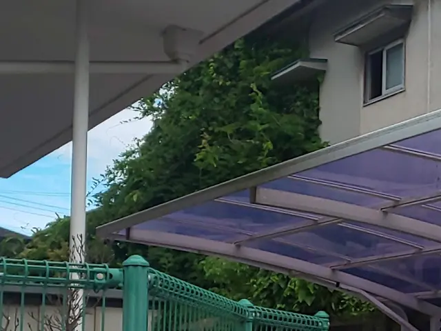 伸びて邪魔な蔦を取り除きます！諦めないで！ 知恵と技術を込めて取り除きます！サービスの画像