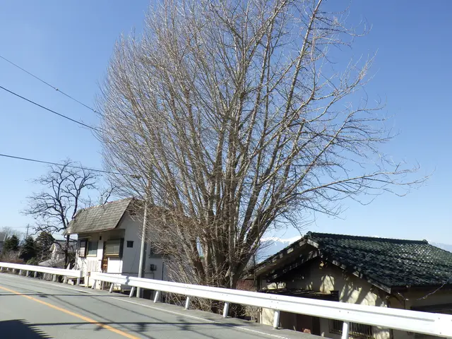 【業歴10年以上】完全自社対応◎自信を持って対応しますサービスの画像