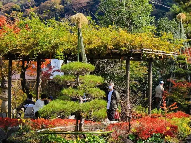 美しい雪吊り！経験と知識を活かして迅速丁寧に作業いたします！(自然素材)サービスの画像