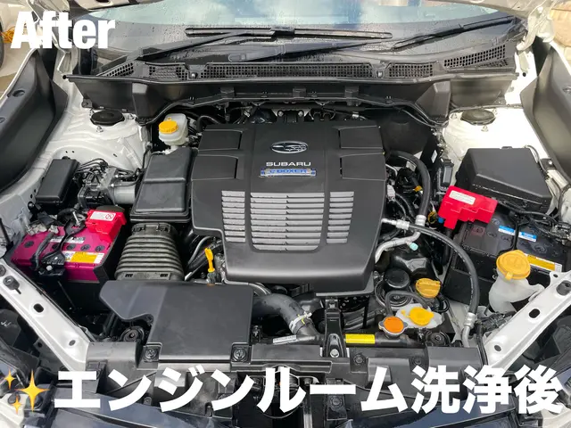 ☆細かい手洗い洗車で汚れを洗い流します、簡易コーティング付きです♪サービスの画像