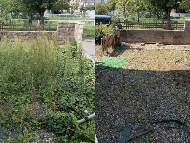 機械で秒速！広範囲も安く早く草刈りします【袋詰め対応◎】サービスの画像