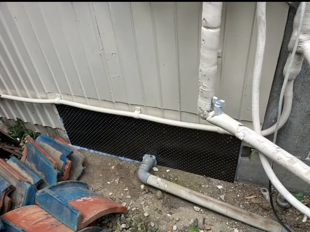 24H/最短当日施工可能！関東対応！侵入口徹底閉鎖&必ず完全駆除！業務用薬剤込みサービスの画像