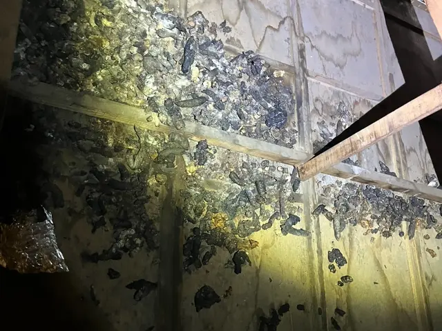 ◆調査お見積もり完全無料◆最短当日施工可能！侵入口徹底閉鎖&必ず完全駆除します！サービスの画像