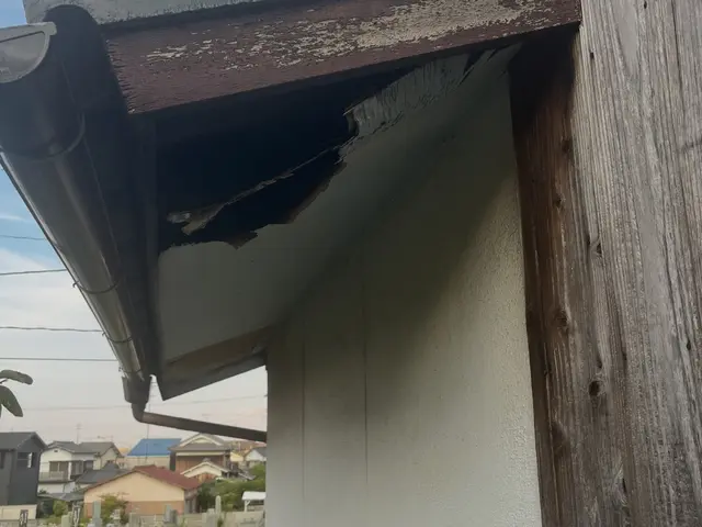 ◆調査お見積もり完全無料◆最短当日施工可能！侵入口徹底閉鎖&必ず完全駆除します！サービスの画像