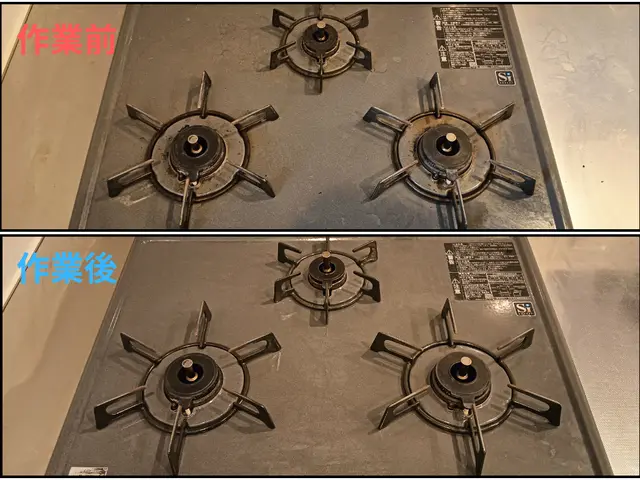【年末大掃除】協会ハウスクリーニング士！プロに任せて楽に綺麗で満足な年末年始を！サービスの画像