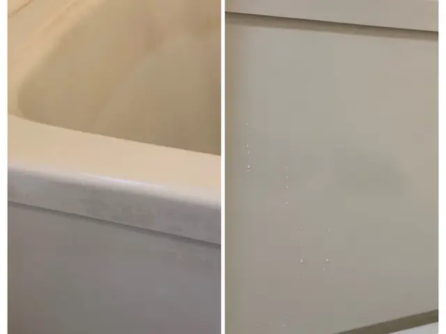 《女性スタッフ同行可能》プロの技術でお部屋も心もスッキリ！対応地域外も相談可◎サービスの画像