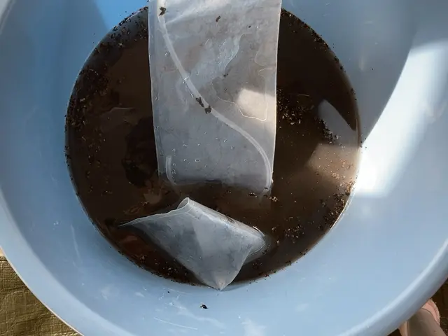 ◆ていねいな作業で大高評◆夫婦でお伺い◆エコ洗剤◆ハウスクリーニング協会会員◆サービスの画像