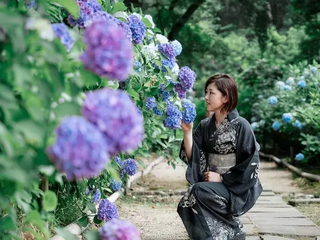 20年以上の経験で、理想の装いを叶える着付けの匠 ヘアセット込み♪